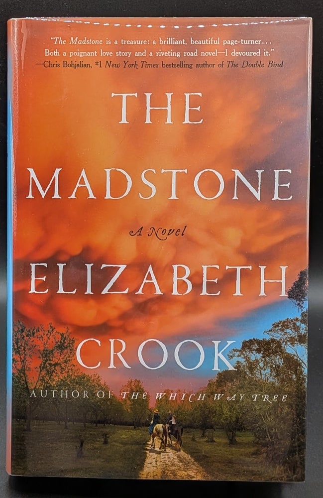 Item #007086 The Madstone: A Novel. Elizabeth Crook.